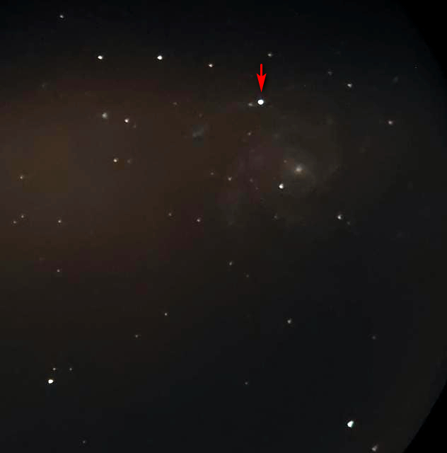 SN 2023ixf a M101-Nico Costa