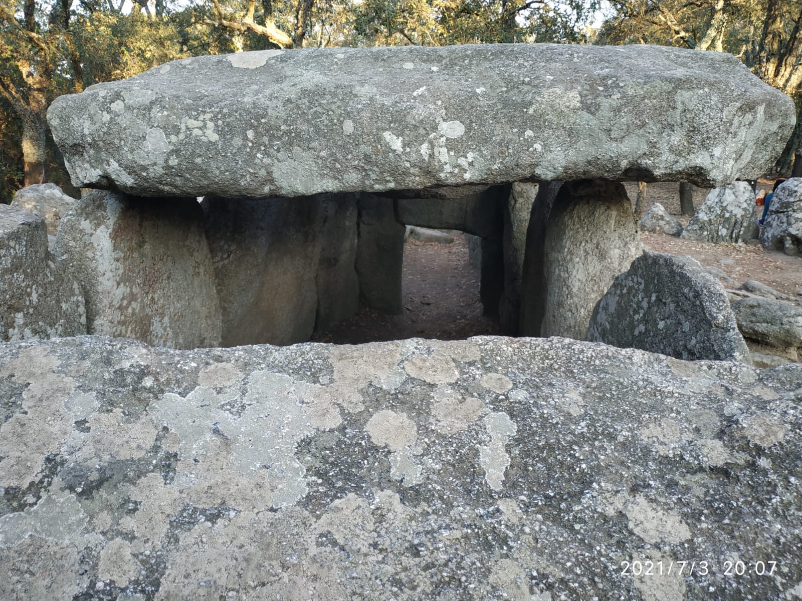Cova d'en Daina